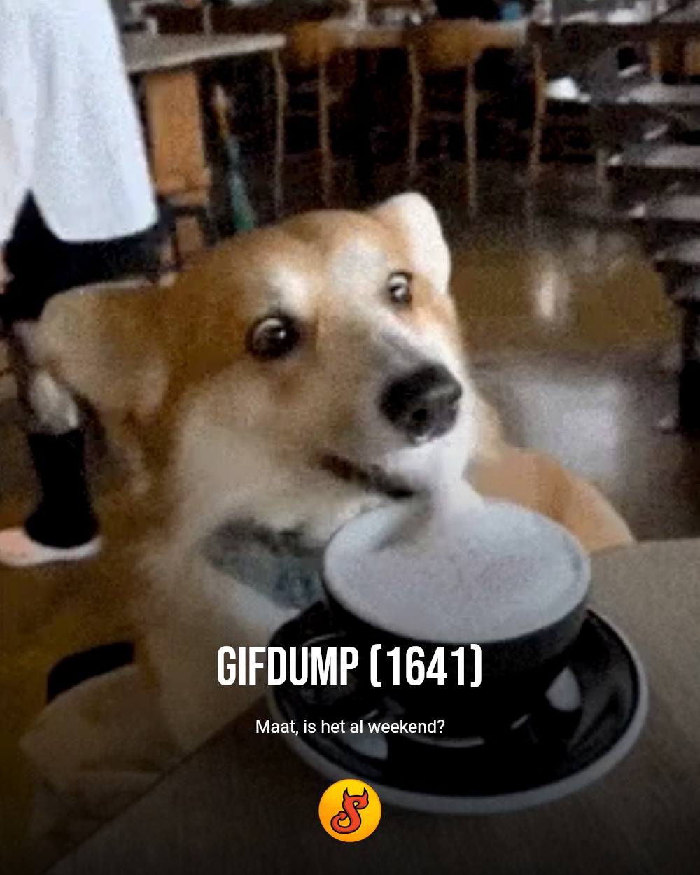 Gifdump (1641)