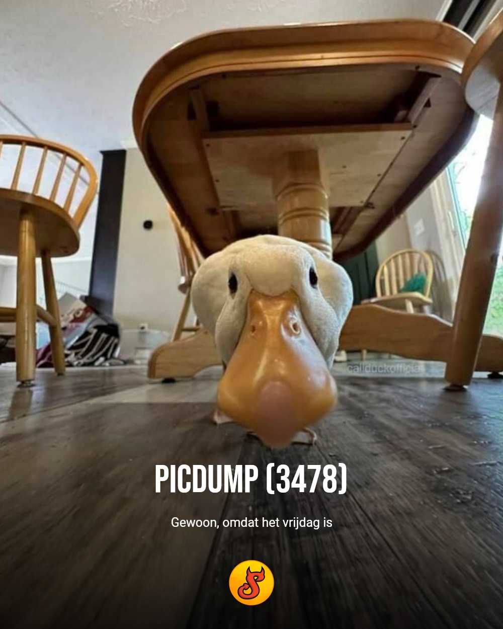 Picdump (3478)