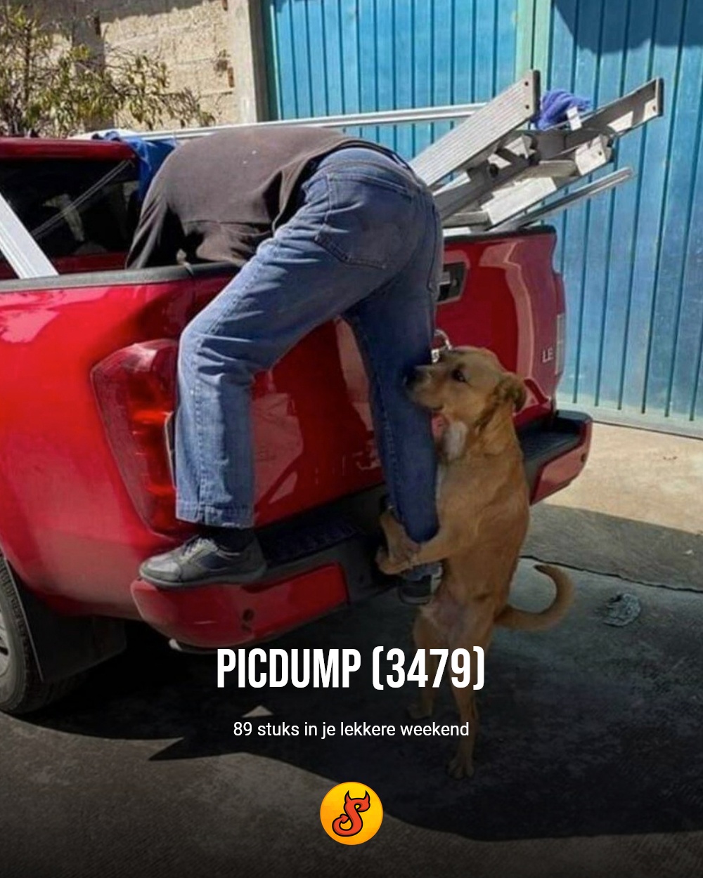 Picdump (3479)