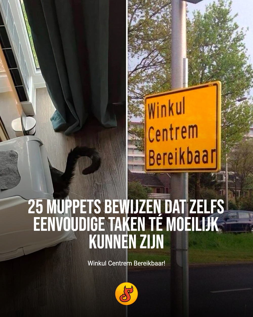 25 muppets bewijzen dat zelfs eenvoudige taken té moeilijk kunnen zijn