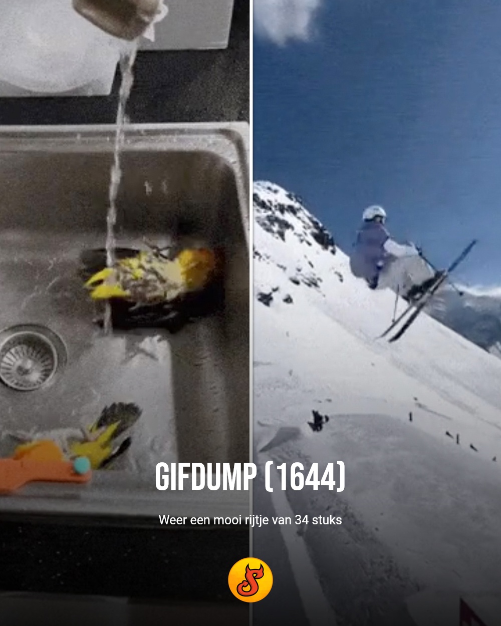 Gifdump (1644)
