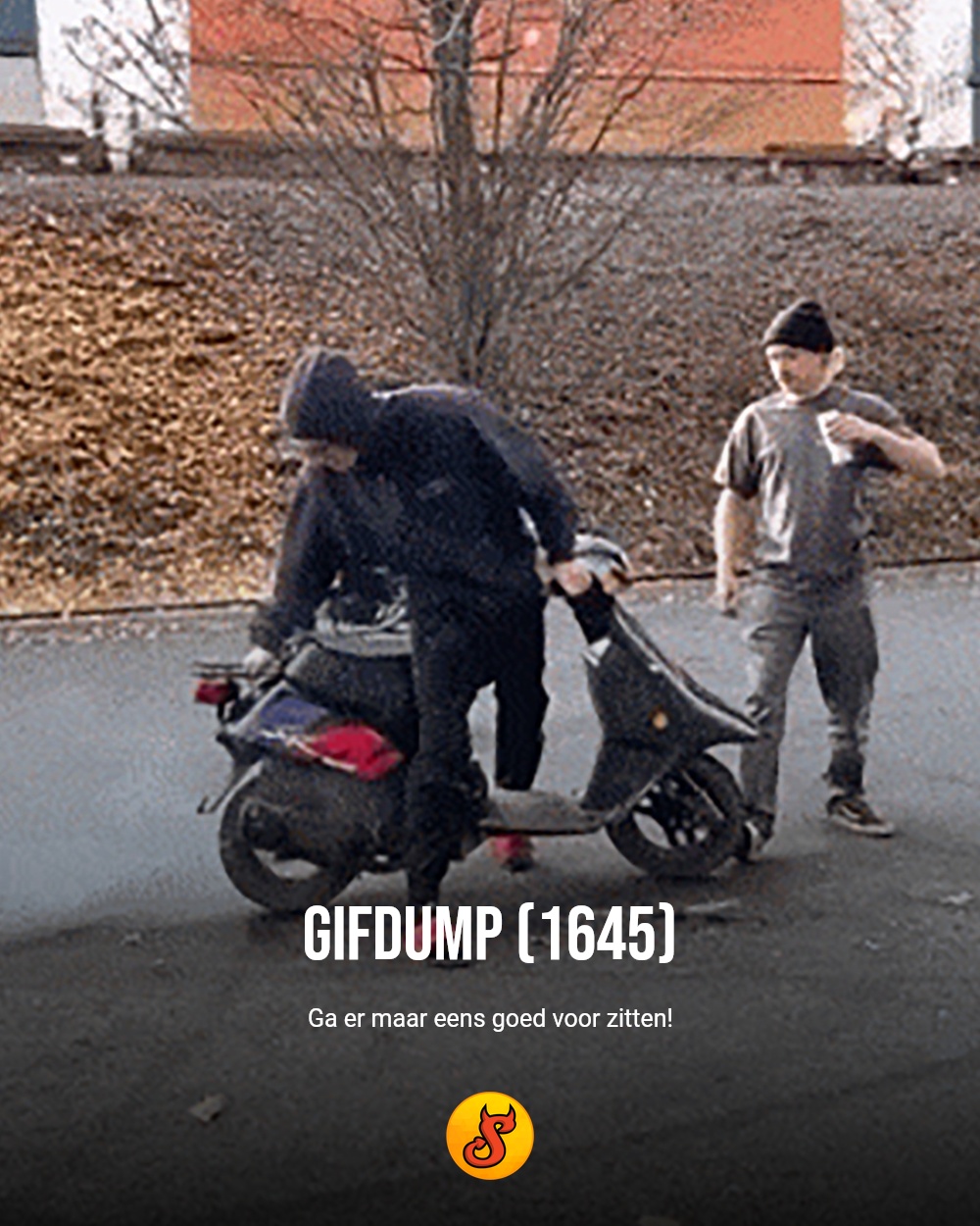 Gifdump (1645)