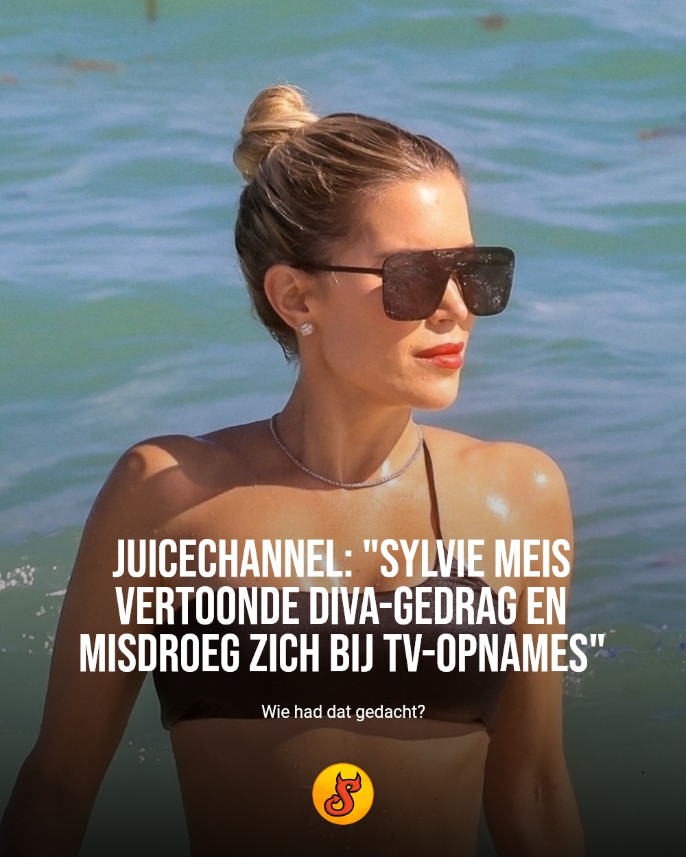 Juicechannel: "Sylvie Meis vertoonde diva-gedrag en misdroeg zich bij tv-opnames"