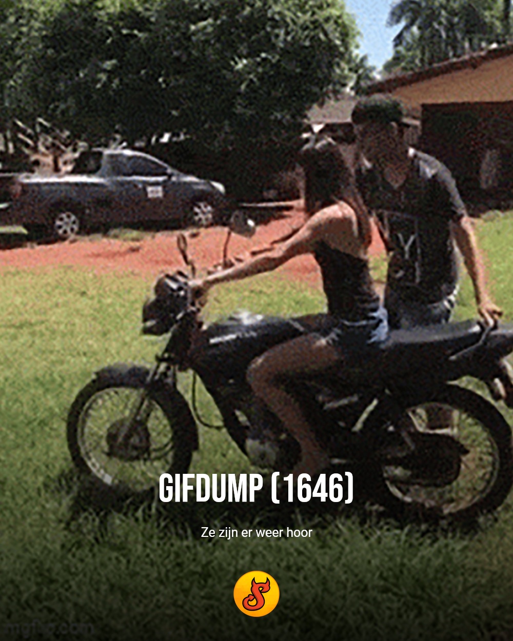 Gifdump (1646)