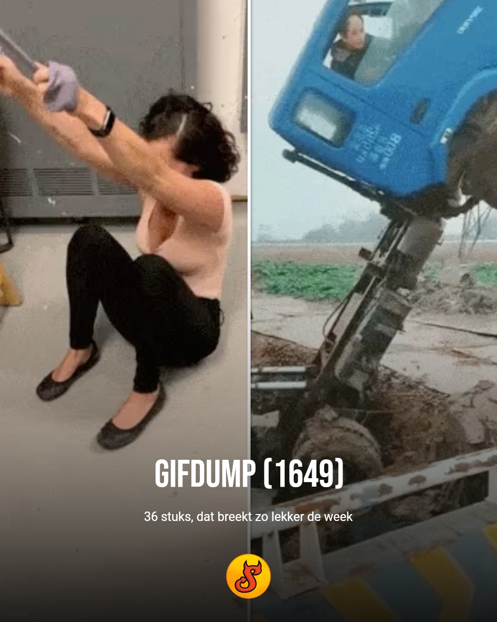 Gifdump (1649)