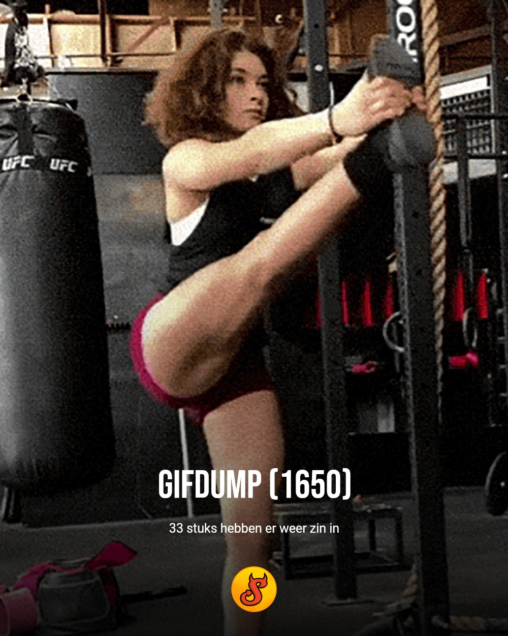 Gifdump (1650)