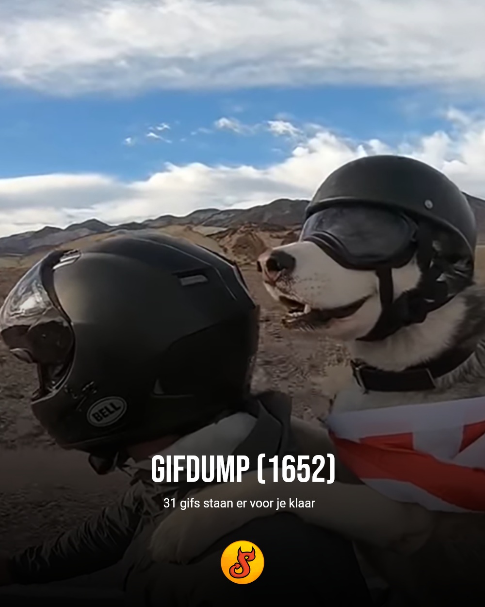 Gifdump (1652)