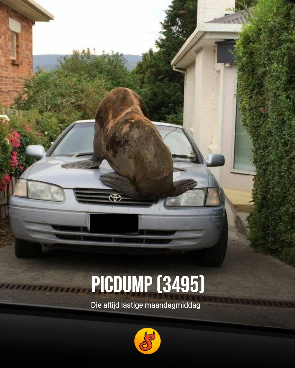 Picdump (3495)