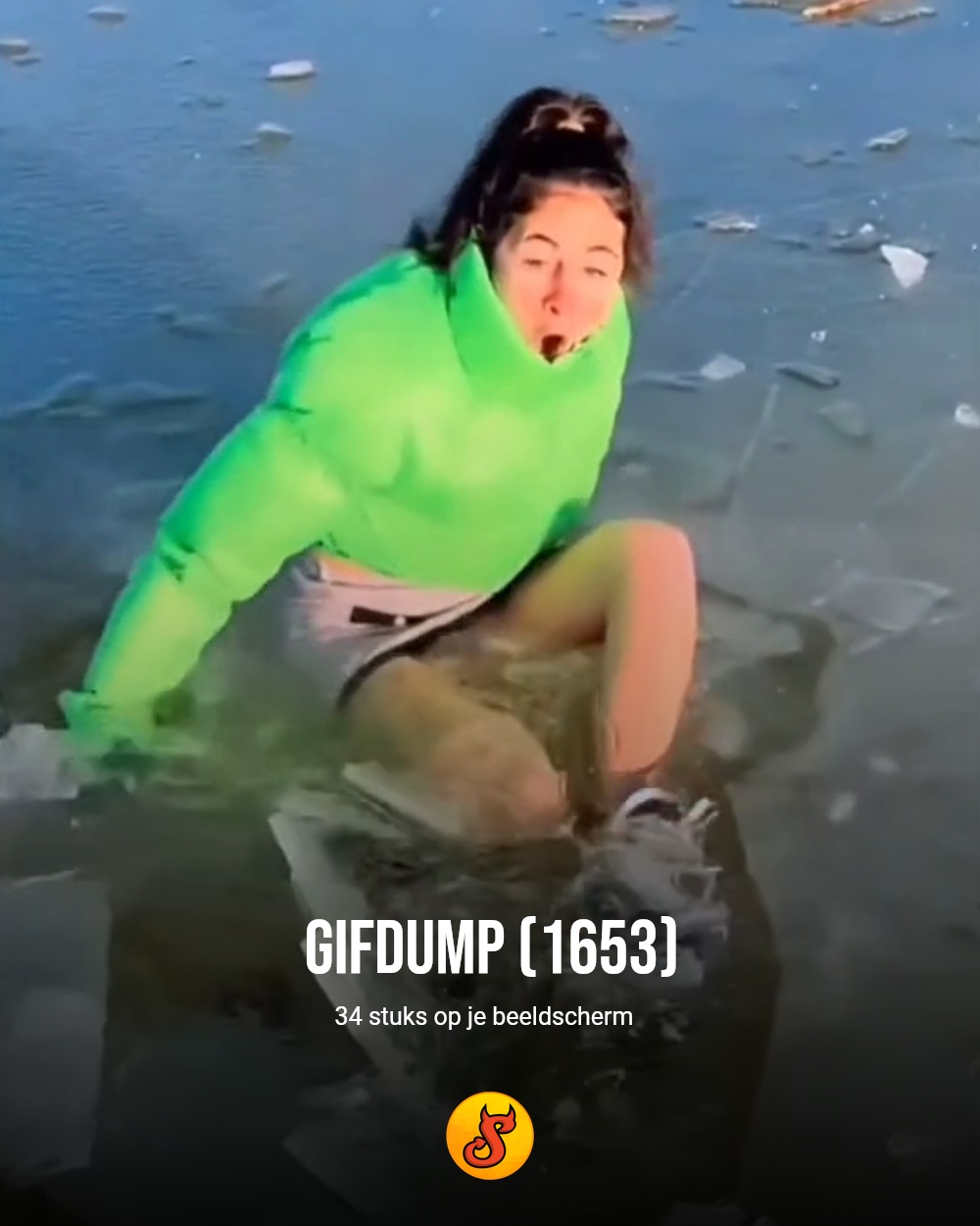 Gifdump (1653)