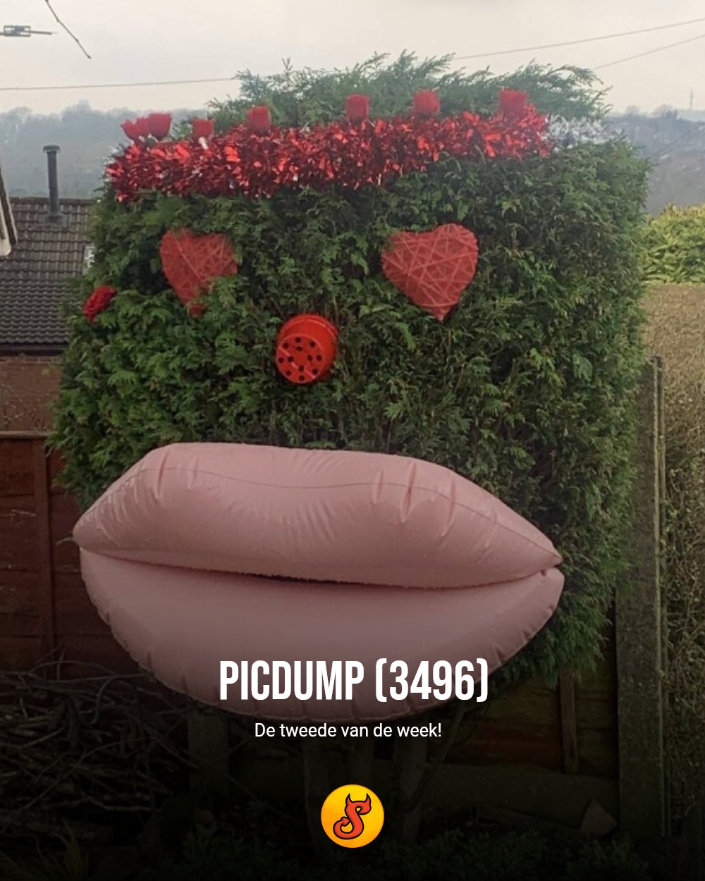 Picdump (3496)