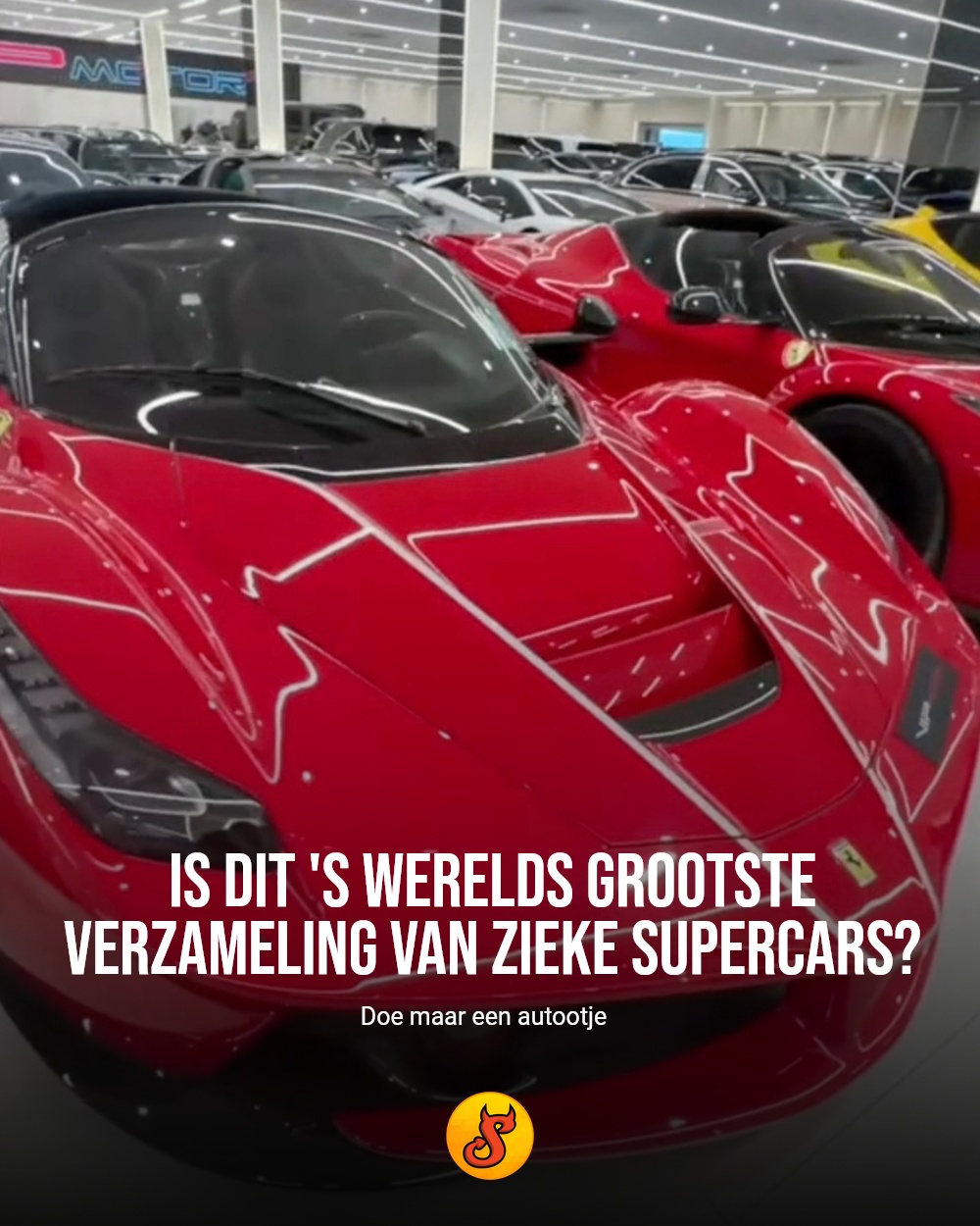 Is dit 's werelds grootste verzameling van zieke supercars?