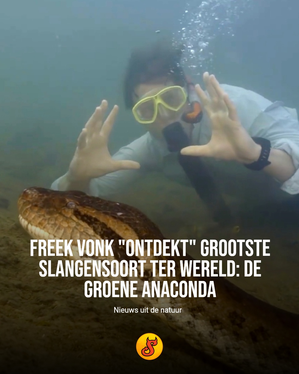 Freek Vonk "ontdekt" grootste slangensoort ter wereld: de groene anaconda