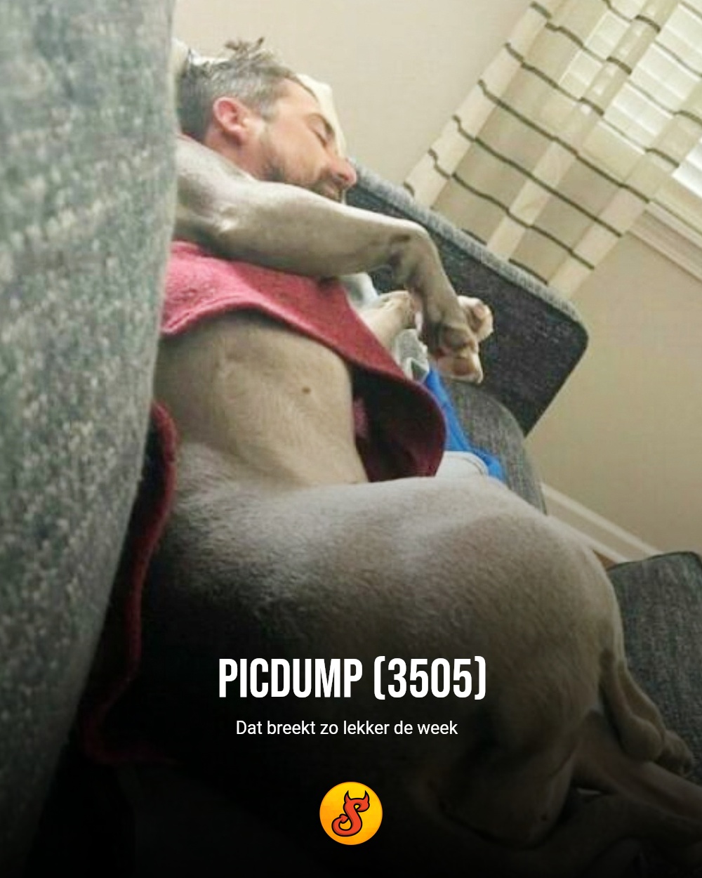 Picdump (3505)