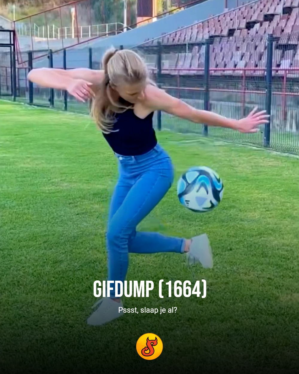 Gifdump (1664)