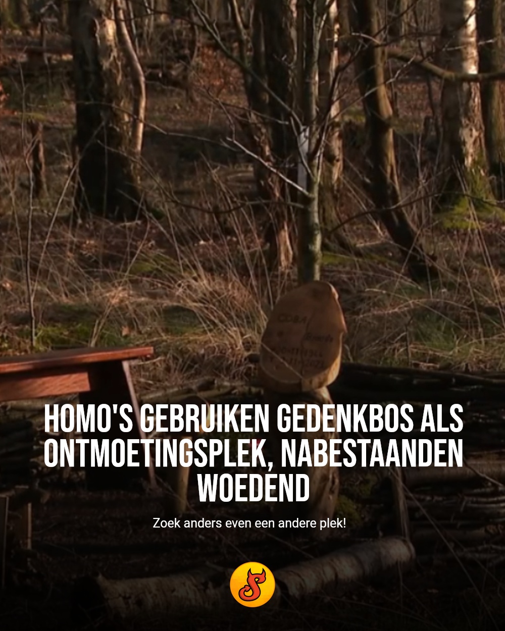 Homo's gebruiken gedenkbos als ontmoetingsplek, nabestaanden woedend