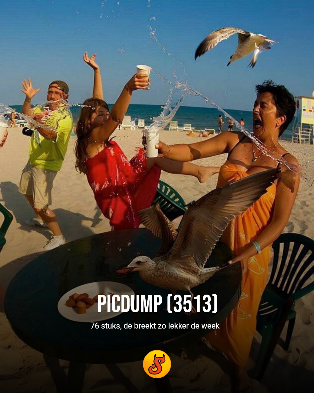 Picdump (3513)