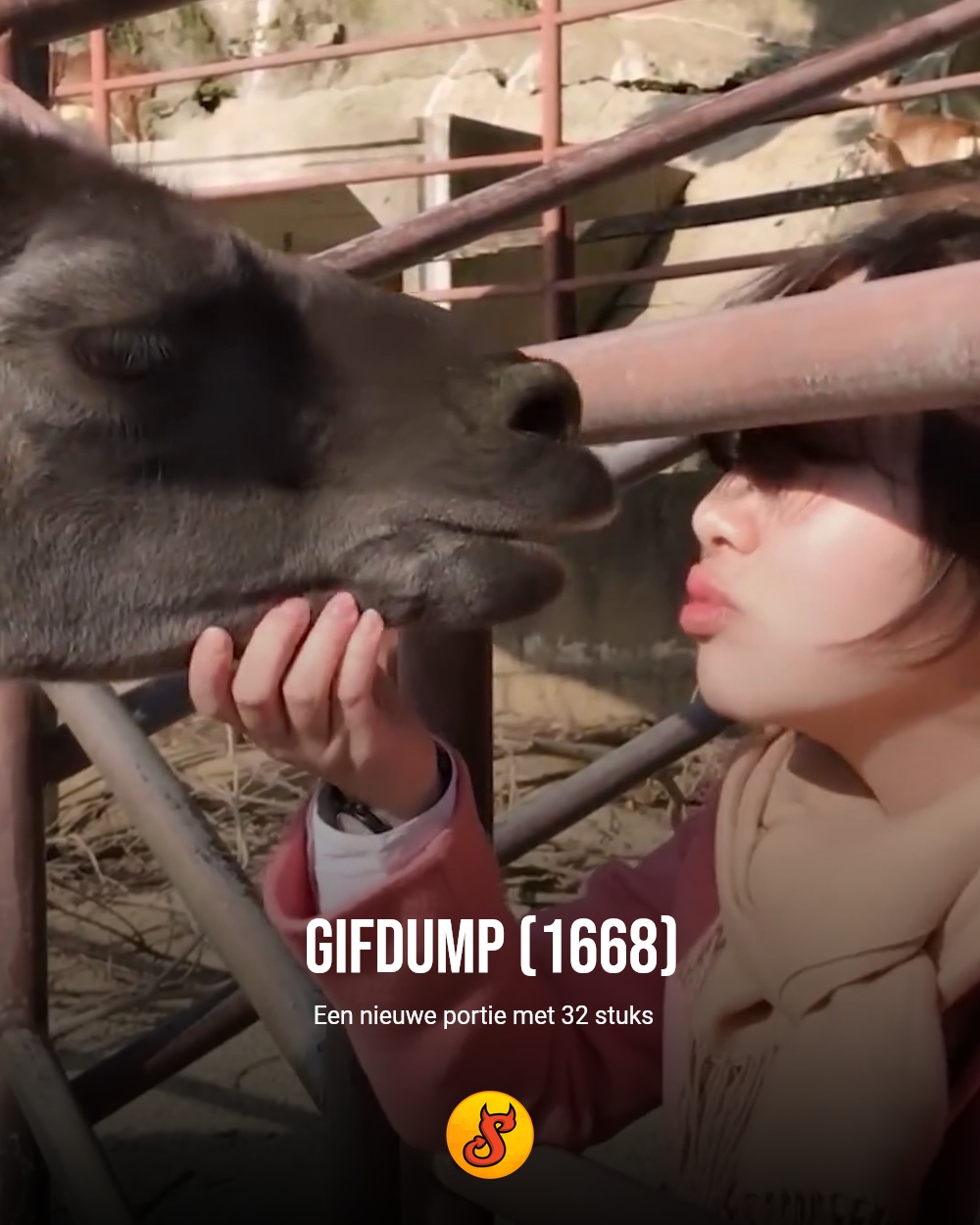 Gifdump (1668)