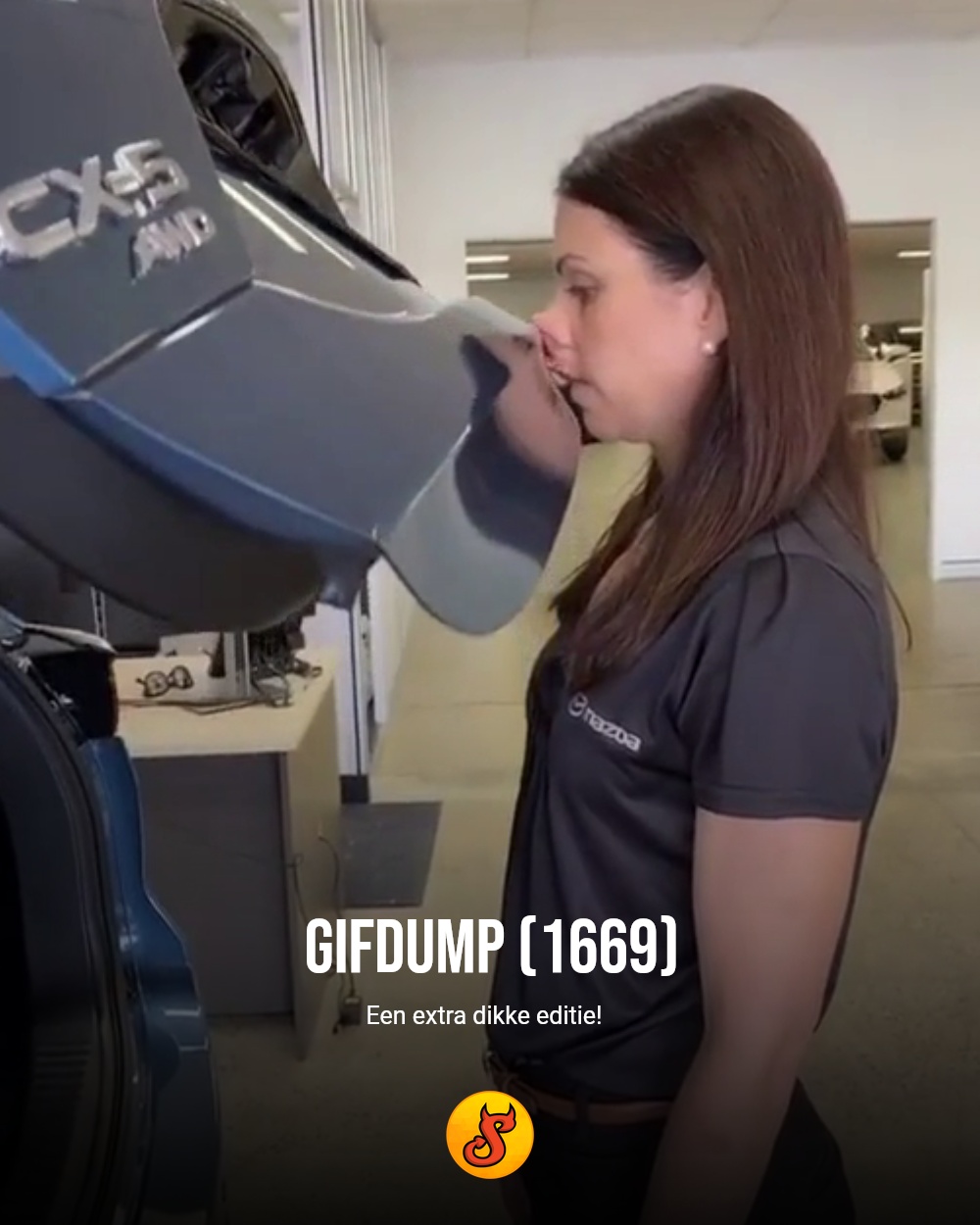 Gifdump (1669)