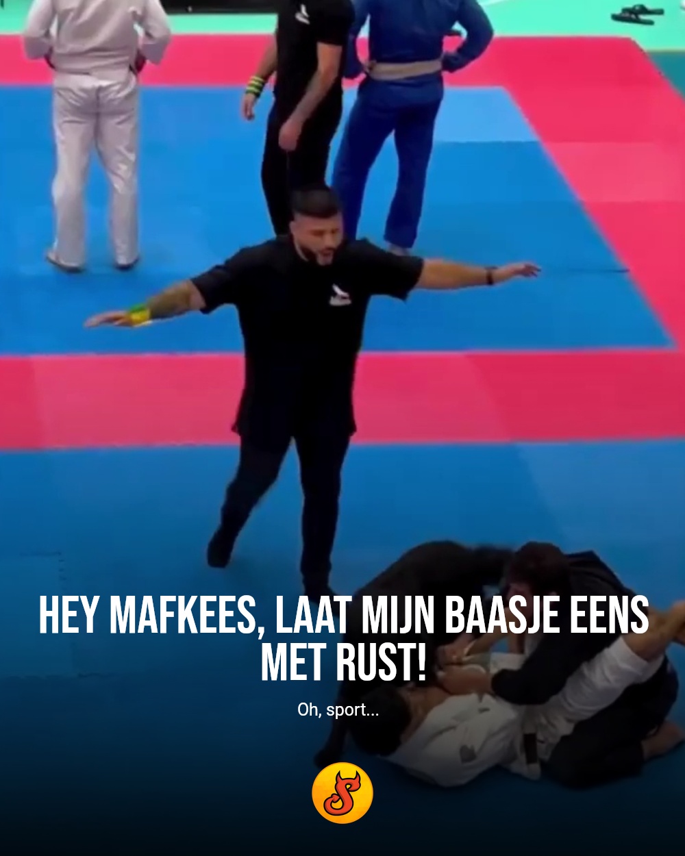 Hey mafkees, laat mijn baasje eens met rust!