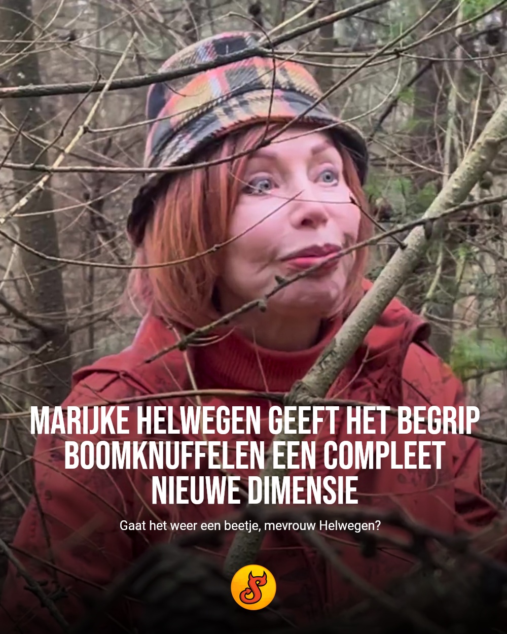 Marijke Helwegen geeft het begrip boomknuffelen een compleet nieuwe dimensie