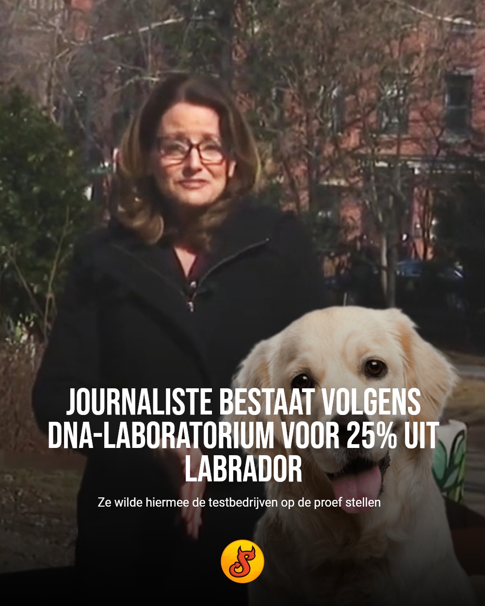 Journaliste bestaat volgens DNA-laboratorium voor 25% uit labrador