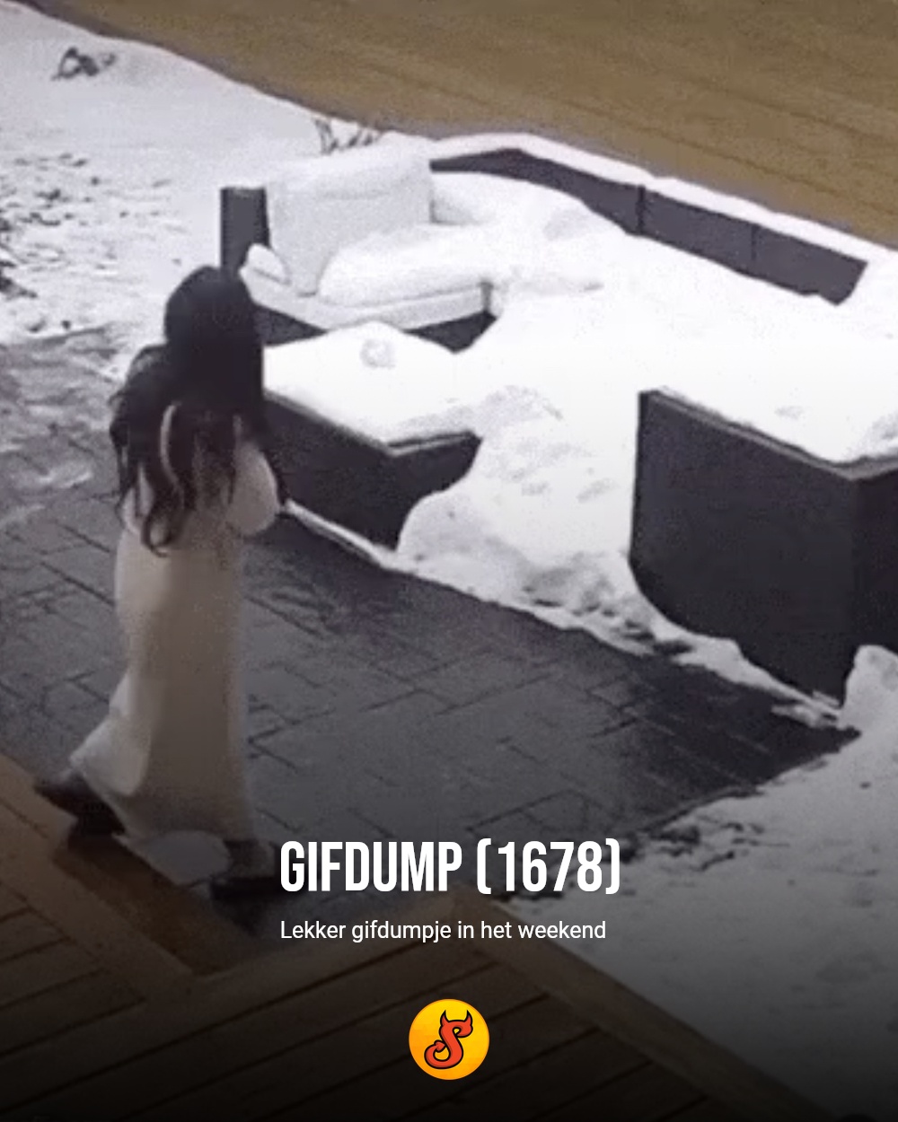 Gifdump (1678)