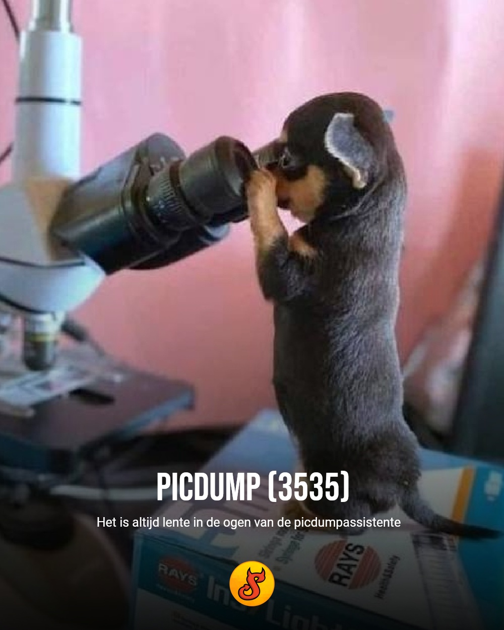 Picdump (3535)