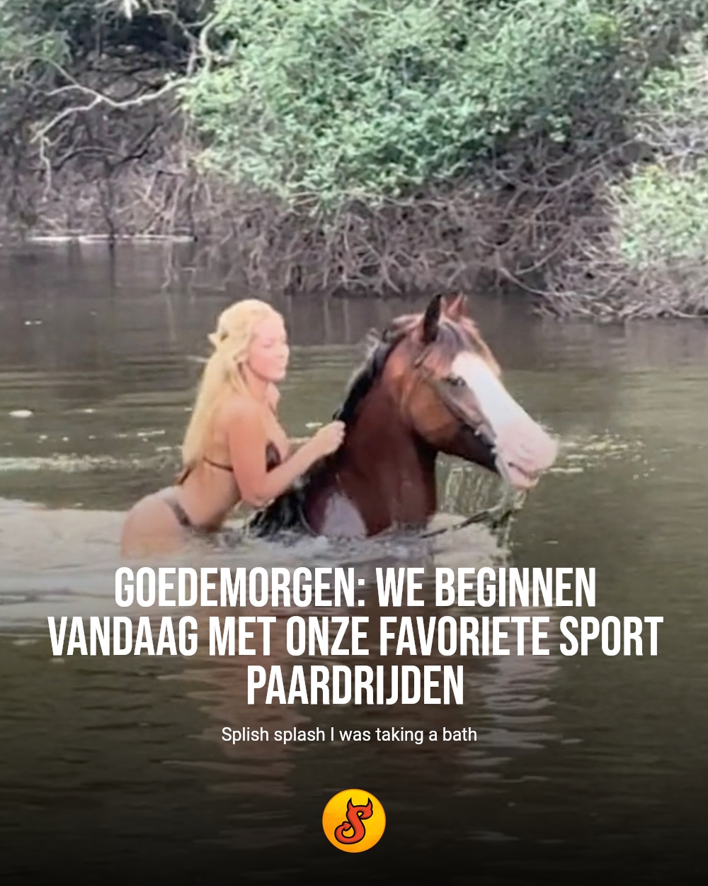 Goedemorgen: we beginnen vandaag met onze favoriete sport paardrijden
