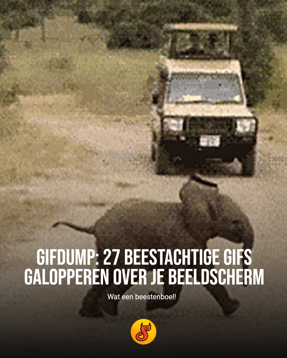 Gifdump: 27 beestachtige gifs galopperen over je beeldscherm