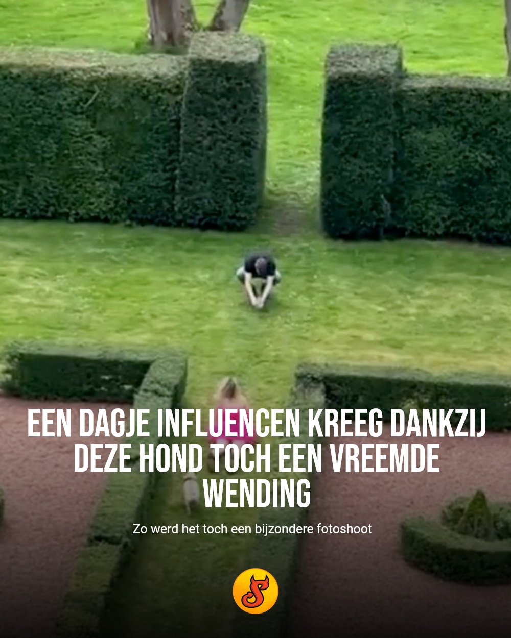 Een dagje influencen kreeg dankzij deze hond toch een vreemde wending