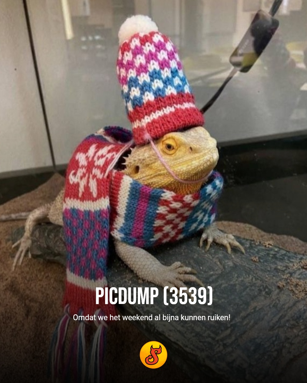 Picdump (3539)