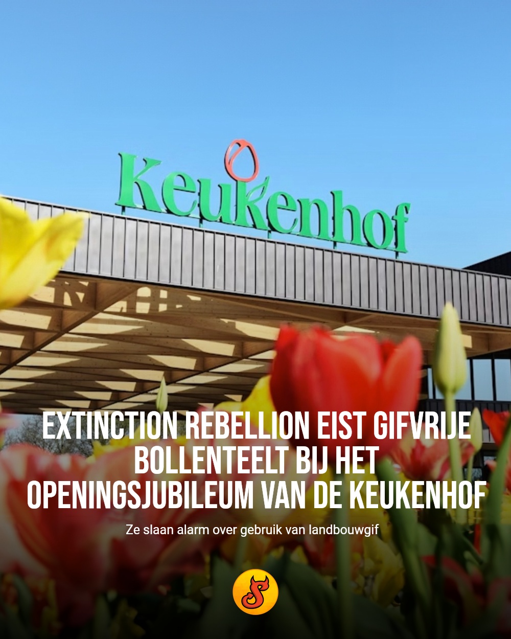 Extinction Rebellion eist gifvrije bollenteelt bij het openingsjubileum van de Keukenhof