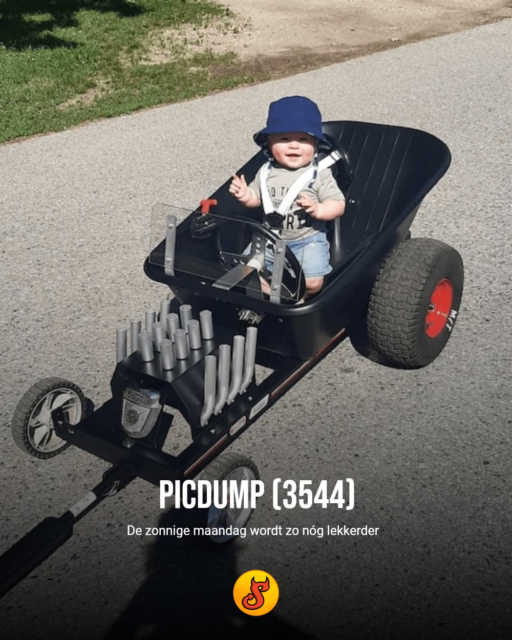 Picdump (3544)