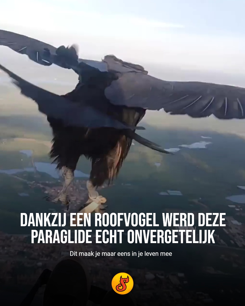 Dankzij een roofvogel werd deze paraglide echt onvergetelijk