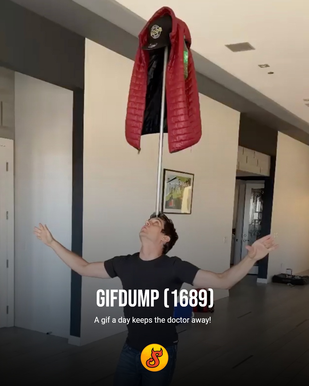Gifdump (1689)