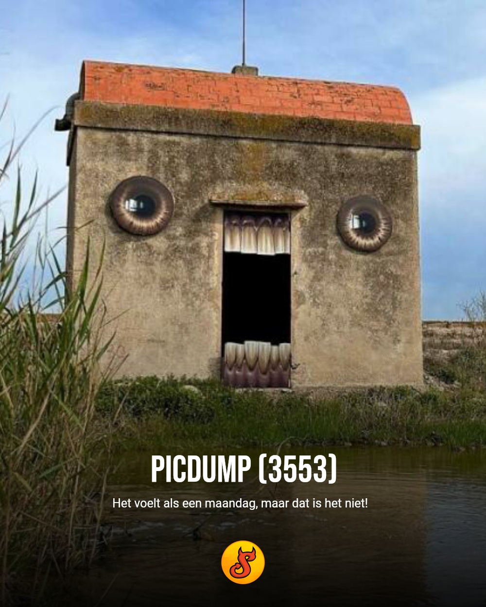 Picdump (3553)