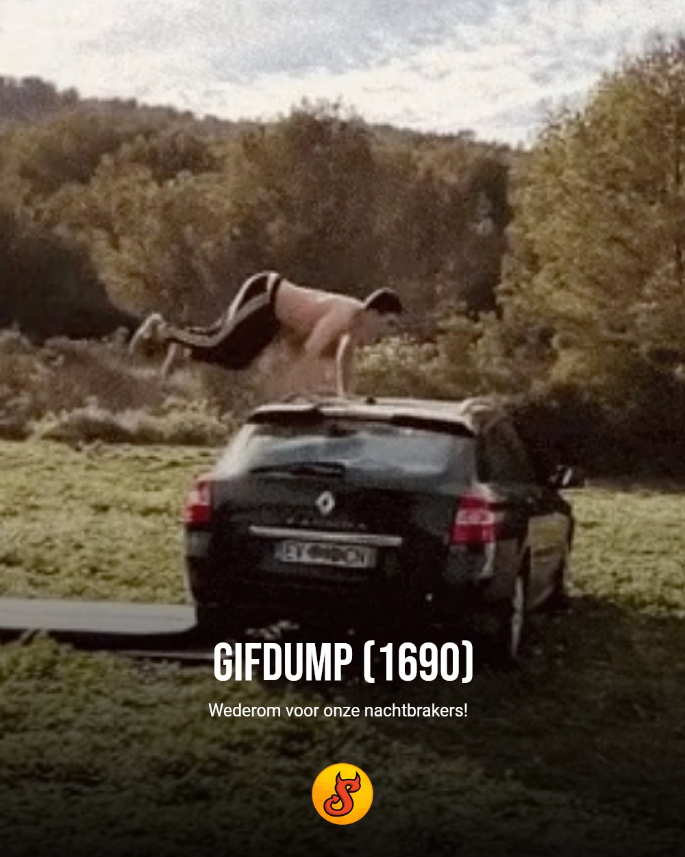 Gifdump (1690)