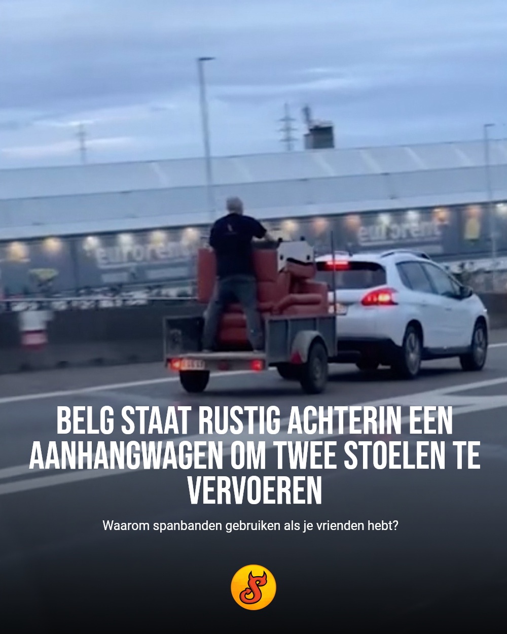Belg staat rustig achterin een aanhangwagen om twee stoelen te vervoeren