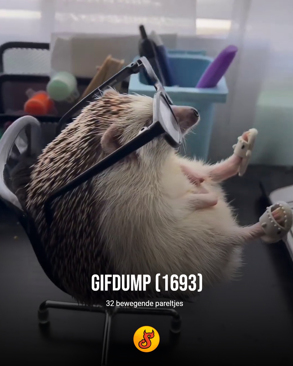 Gifdump (1693)