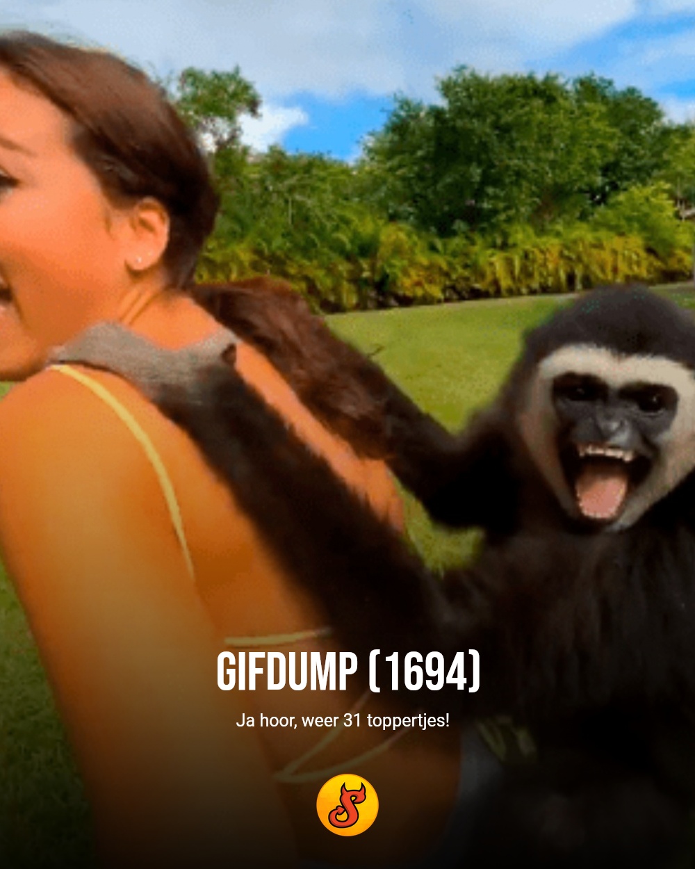 Gifdump (1694)