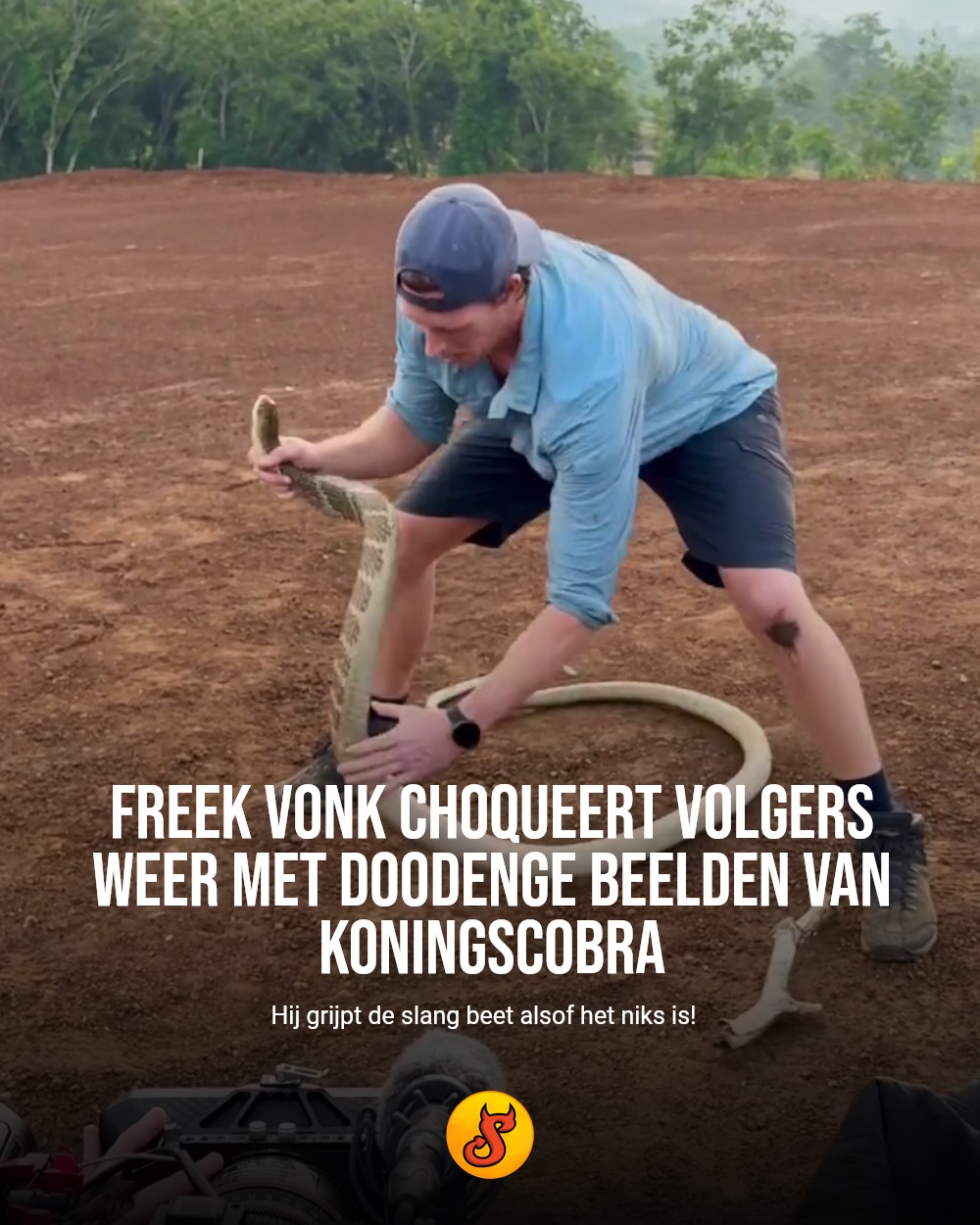 Freek Vonk choqueert volgers weer met doodenge beelden van koningscobra