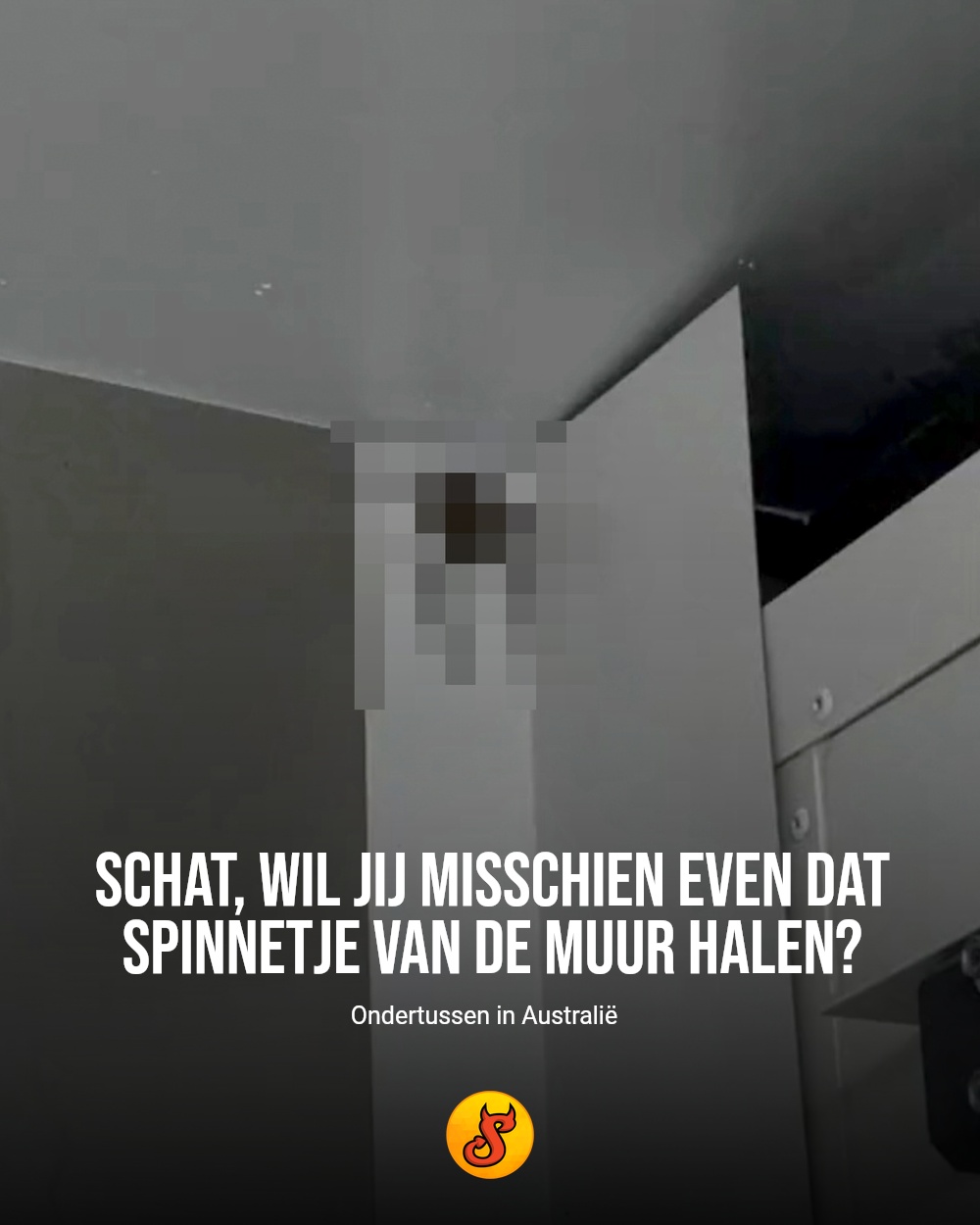 Schat, wil jij misschien even dat spinnetje van de muur halen?