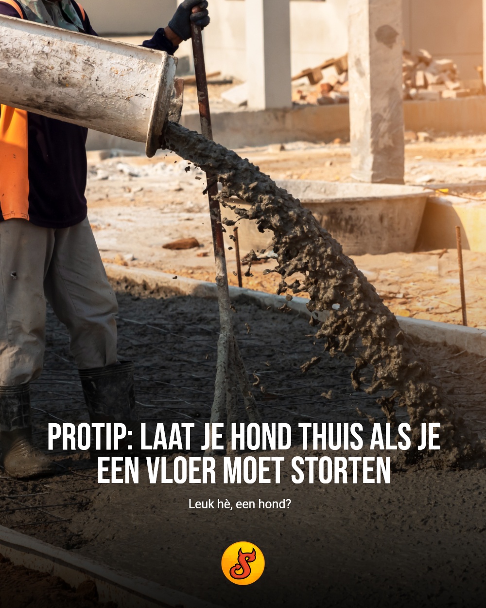 Protip: laat je hond thuis als je een vloer moet storten