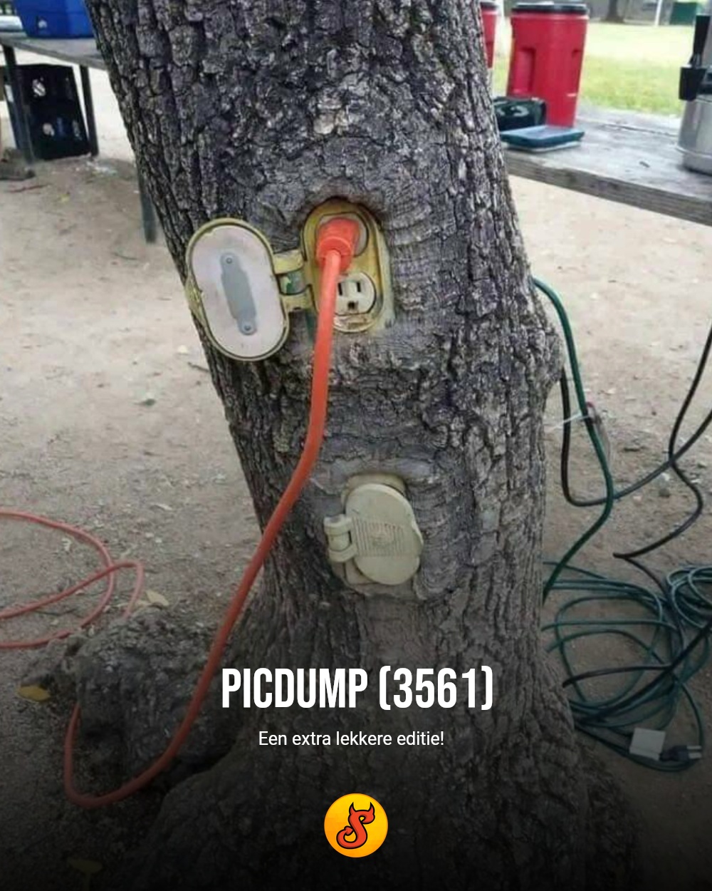 Picdump (3561)