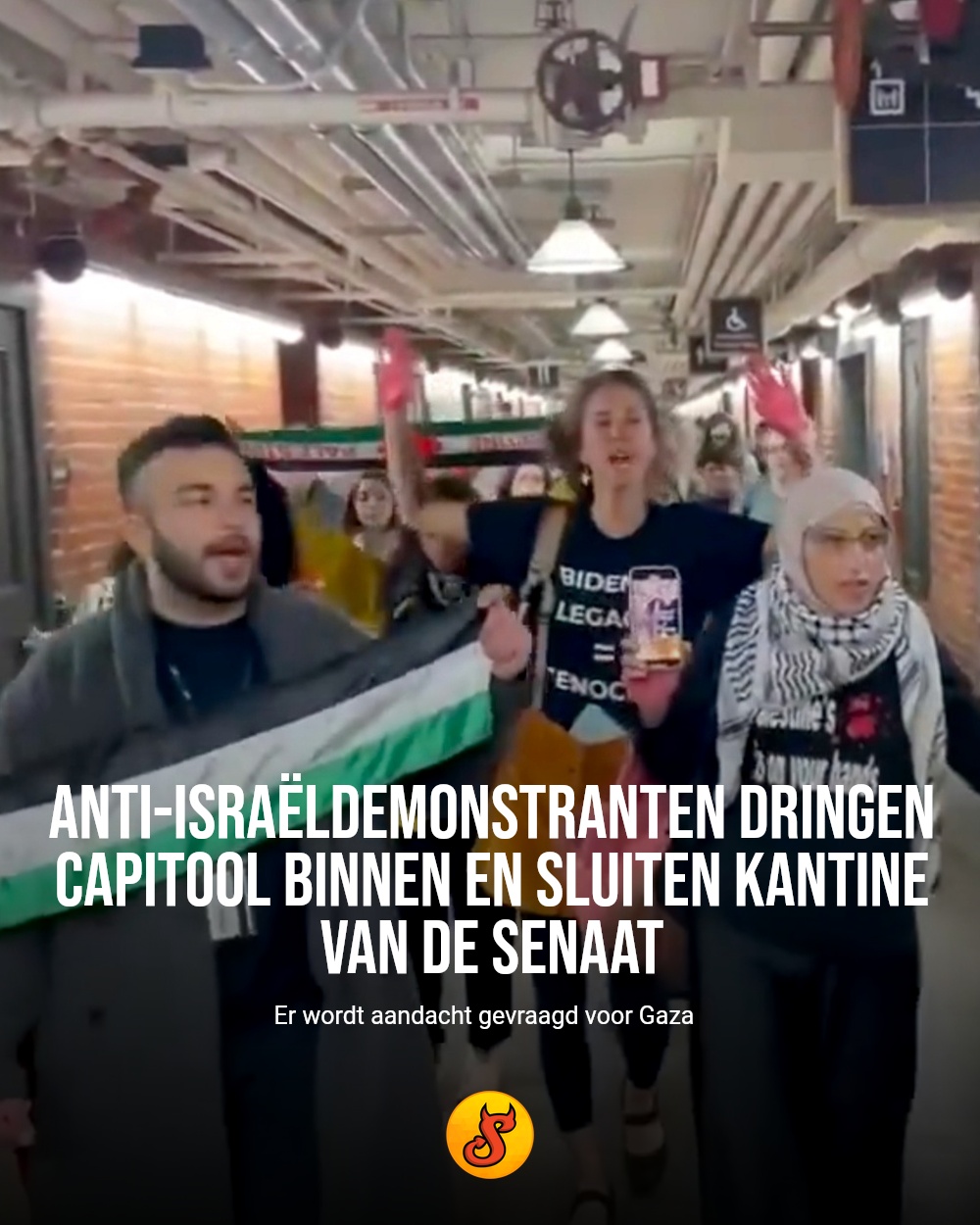 Anti-Israëldemonstranten dringen capitool binnen en sluiten kantine van de Senaat