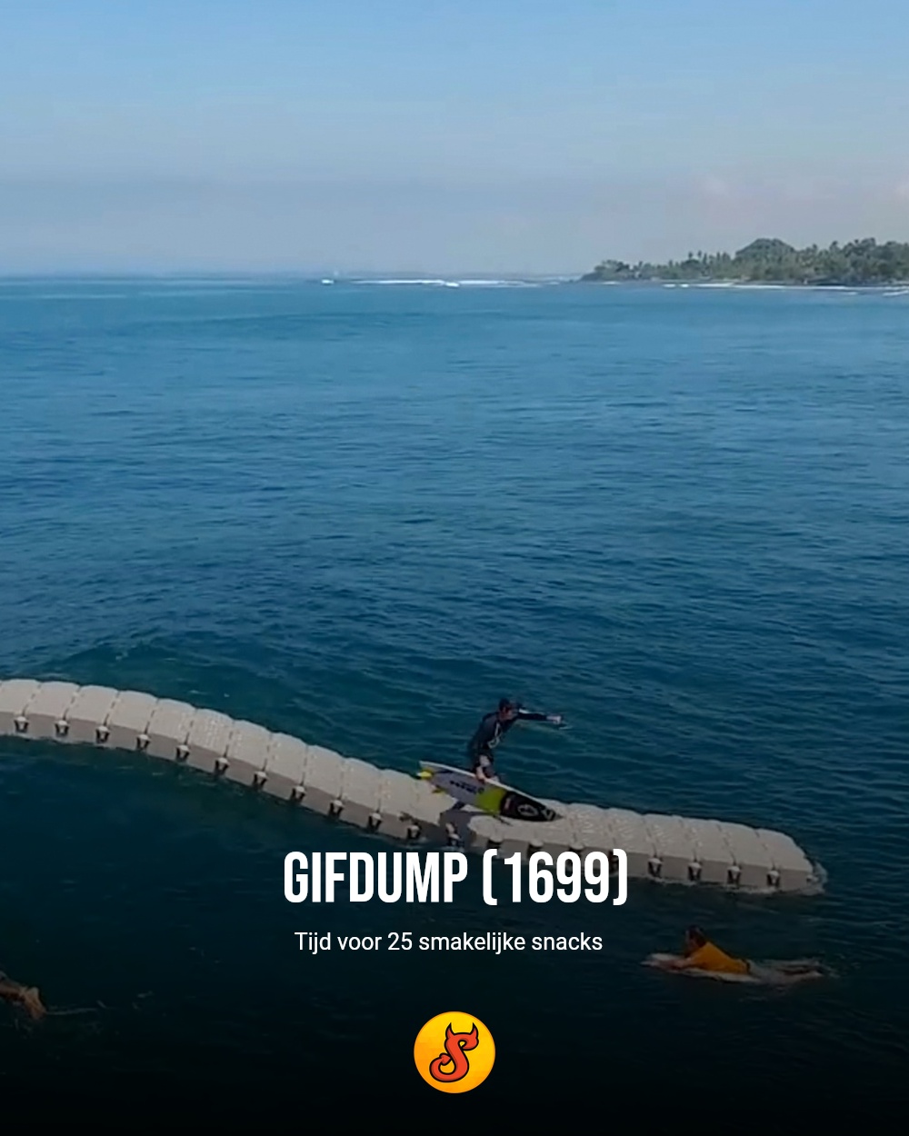 Gifdump (1699)