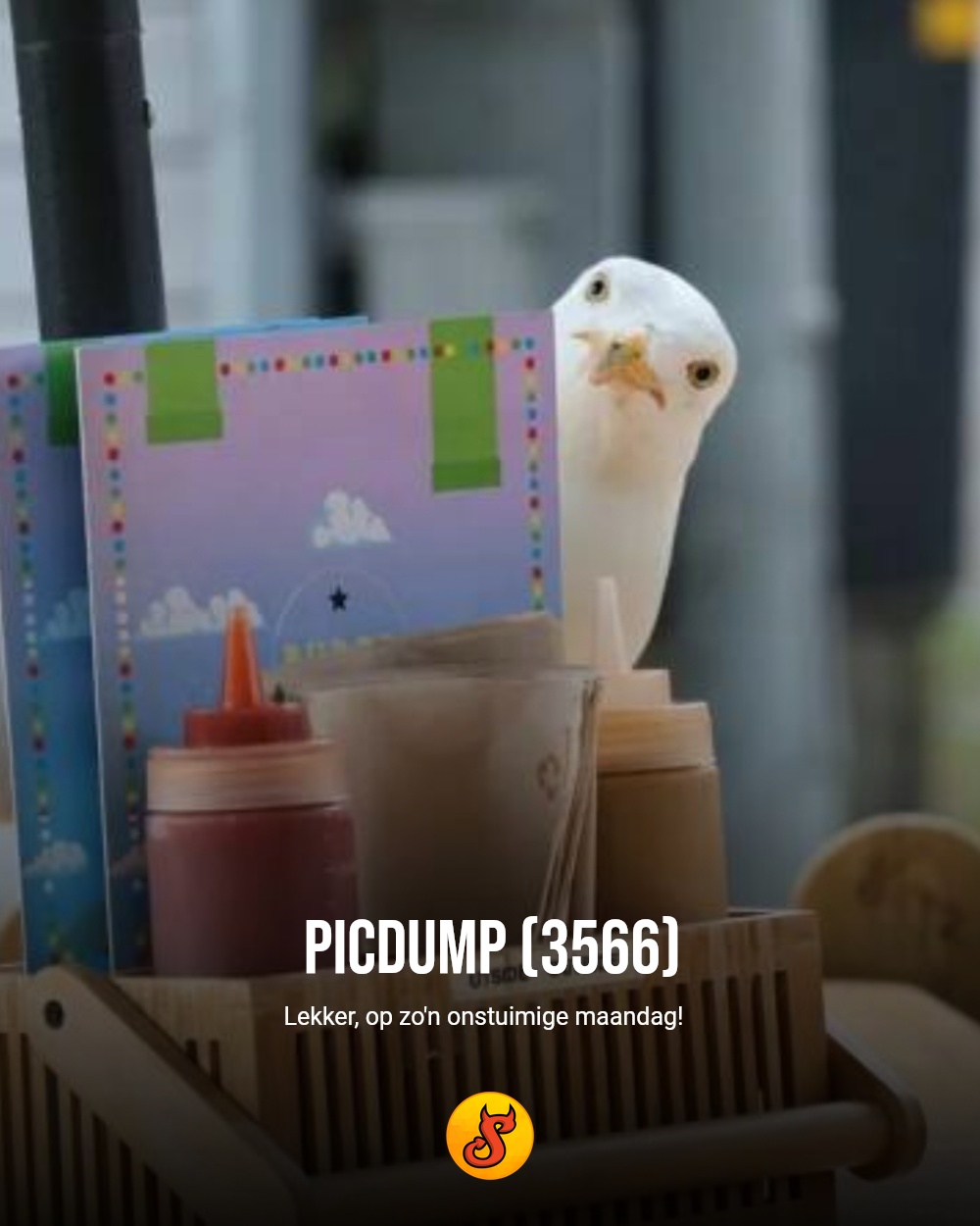 Picdump (3566)