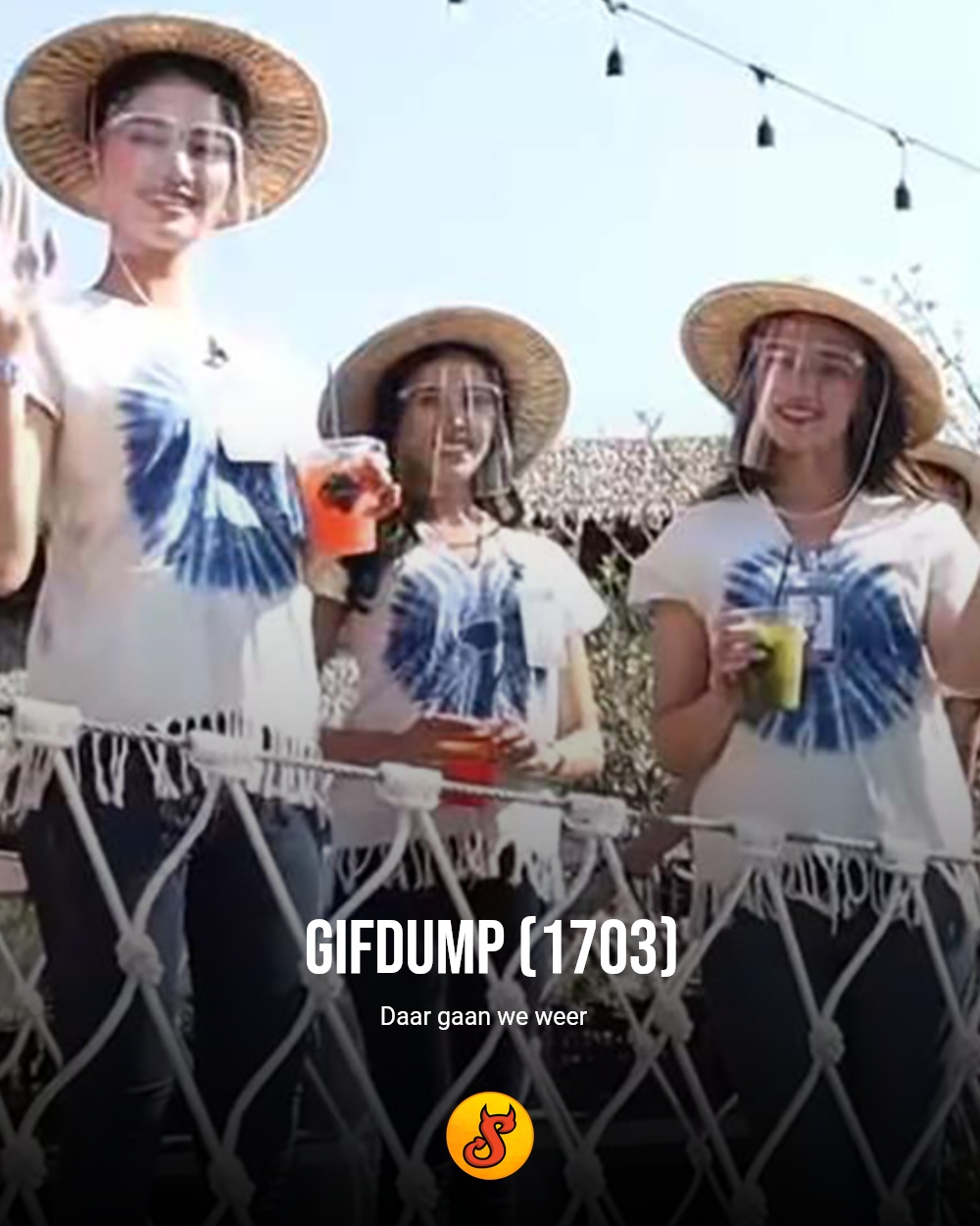 Gifdump (1703)