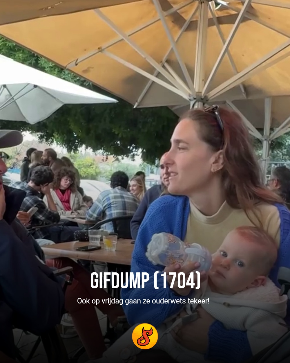 Gifdump (1704)