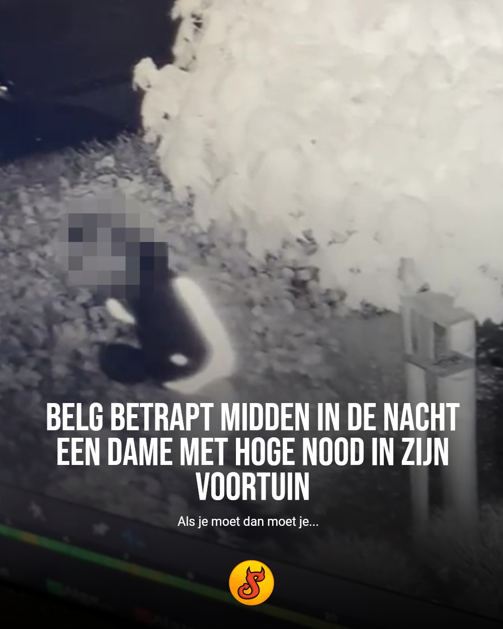 Belg betrapt midden in de nacht een dame met hoge nood in zijn voortuin
